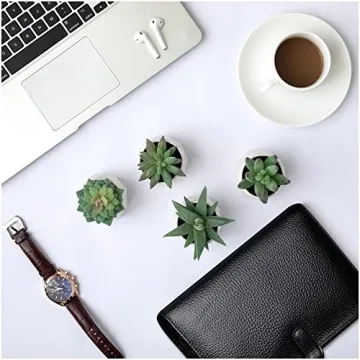 Realistic CADNLY Fake Succulent Plant Set for Home