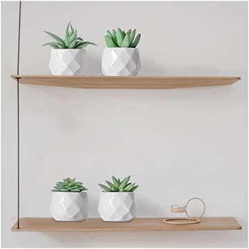 Realistic CADNLY Fake Succulent Plant Set for Home