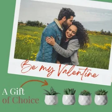 Realistic CADNLY Fake Succulent Plant Set for Home