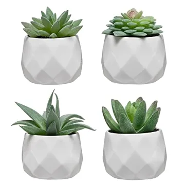Realistic CADNLY Fake Succulent Plant Set for Home