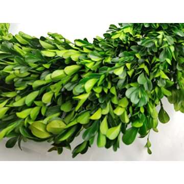 Tradingsmith Preserved Boxwood Wreath 10-inch