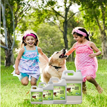 Organic Cold Pressed Neem Oil for Skincare and Gardening