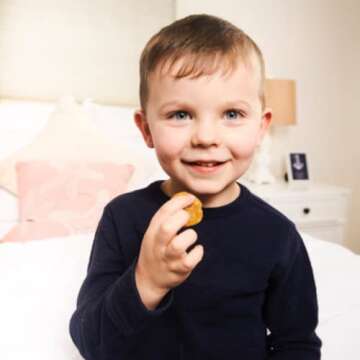 Rule Breaker Snacks - Vegan Gluten Free Variety Pack for All