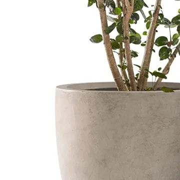 Kante Stylish Concrete Planters for Indoor and Outdoor
