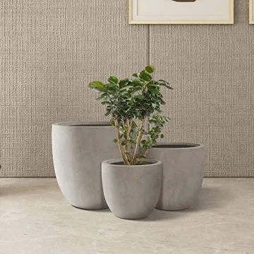 Kante Stylish Concrete Planters for Indoor and Outdoor