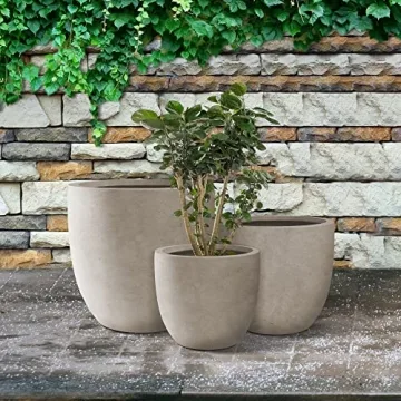 Kante Stylish Concrete Planters for Indoor and Outdoor