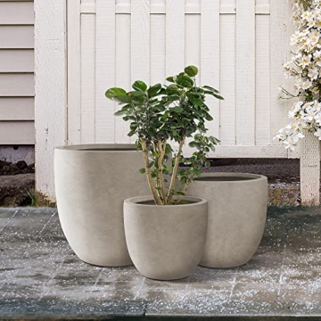 Kante Stylish Concrete Planters for Indoor and Outdoor