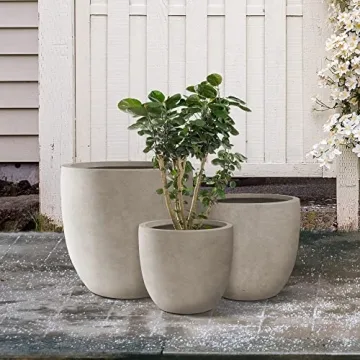 Kante Stylish Concrete Planters for Indoor and Outdoor
