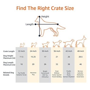 Amazon Basics Foldable Metal Wire Dog Crate 22x13