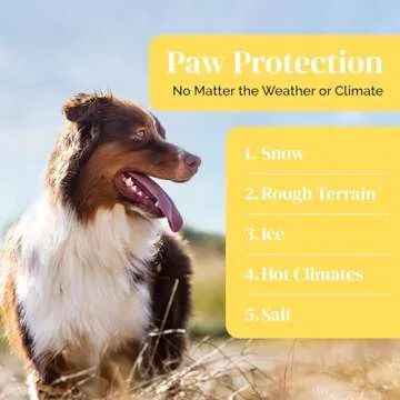 Natural Dog Paw Balm - Lick-Safe Moisturizer for Paws