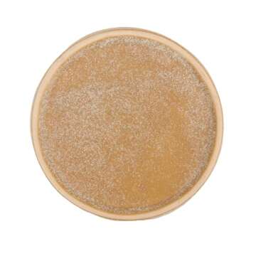 Ceramic Slow Feeder Cat Bowls 6 Inch Shallow Whisker Friendly Cat Food Bowls Grid Cat Dishes Pet Plate for Cat and Puppy, Dishwasher Safe (Khaki)