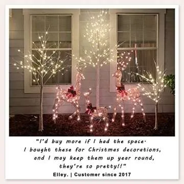 Lighted Birch Tree 8FT 132 LED Artificial Tree for Decoration Inside and Outside, Home Patio Wedding Festival Christmas Decor, Warm White