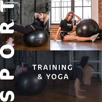 KARIKUN Exercise Ball, 65cm Yoga Ball, Medicine Ball Chair for Fitness - Stability Balance Pilates Core & Workout with Quick Pump - Upgraded Anti Burst Slip Resistance - Home Gym Office Chair