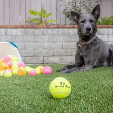 Hyper Pet Tennis Balls for Dogs - Fun Fetching Toys
