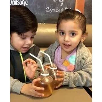 Martinellis Apple Juice Premium. 100% Pure Juice | 10 Fl Oz Pet Bottles | Pack of 24