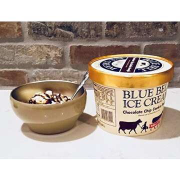 Stainless Steel Double-wall Vacuum Insulated Bowl, 24 oz, Perfect bowls for serving ice cream or hot soup (1 Pack, Stainless Steel)