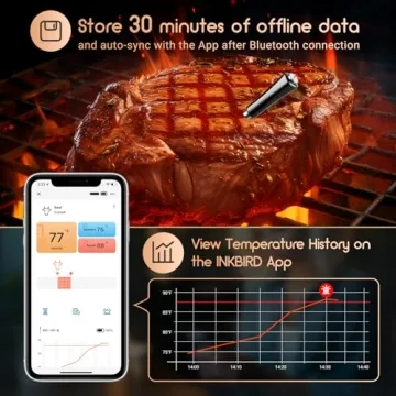 Wireless Bluetooth Meat Thermometer for Grilling