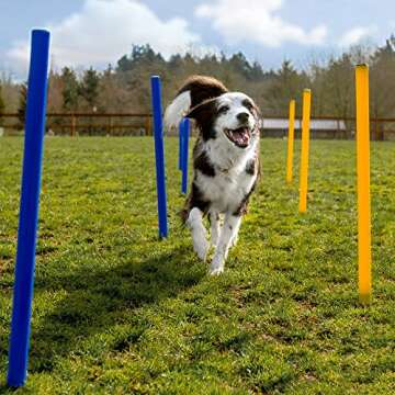 CHEERING PET Dog Agility Set - 28 Piece Training Course