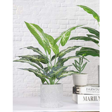 Artificial Taro Leaves Plant - Perfect Indoor Decor