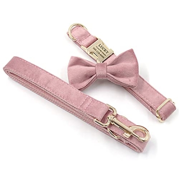 Personalized PETDURO Dog Collar with Engraved Gold Buckle