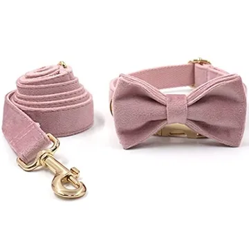 Personalized PETDURO Dog Collar with Engraved Gold Buckle