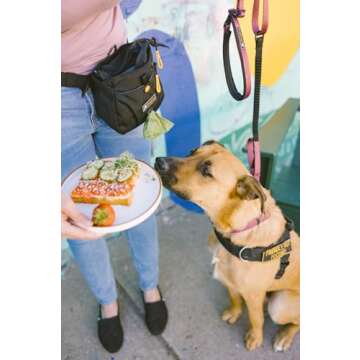 OllyDog Backcountry Day Bag - Hands-Free Dog Training Treat Pouch with Waist Clip