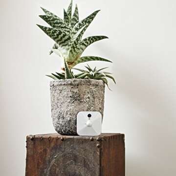 Blink Indoor Home Security Camera System with Motion Detection, HD Video, 2-Year Battery Life and Cloud Storage Included - 2 Camera Kit