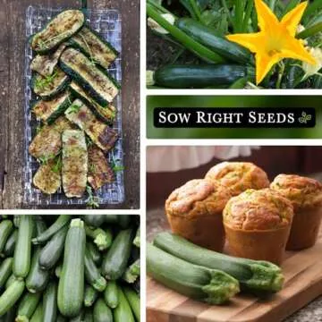Sow Right Seeds Black Beauty Zucchini Seeds for Planting