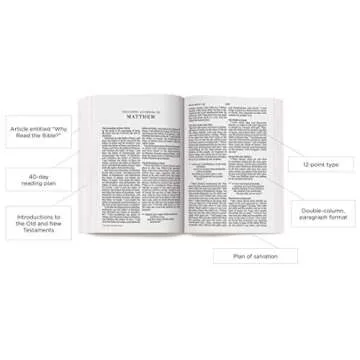 ESV Economy Bible, Giant Print