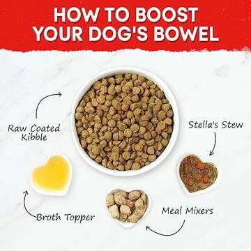 Stella & Chewy's Raw Coated Beef Recipe Dog Food 10lb