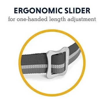 Ruffwear Adjustable Dog Lead for Hands-Free Adventures