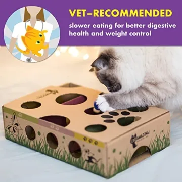 Cat Amazing Classic Cat Puzzle Feeder Interactive Toy