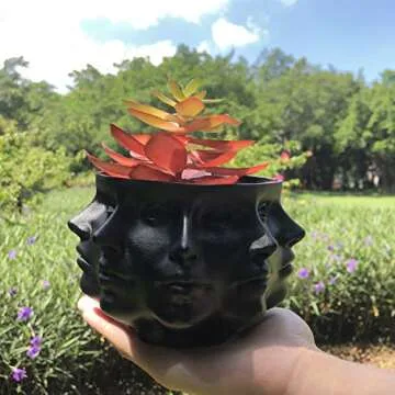 Multi-Face Succulent Planter Vase Small Face Plante Head Face Vase Home Decoration Succulent Cactus Indoor Plant Pot