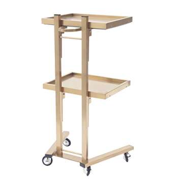 Xuthusman 2-Tier Foldable Tray Trolley Salon 4-Wheel Rolling Cart Utility Storage Shelves Holder with Service Tray Stainless Steel (Gold)