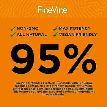 Turmeric Curcumin with BioPerine Black Pepper and Ginger - Made in USA - 120 Vegetarian Capsules for Advanced Absorption, Joints Support