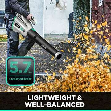 Litheli 40V Cordless Leaf Blower Battery Leaf Blowers for Lawn Care, with Brushless Motor, Axial Blower for Blowing Leaf, Dust, Snow, Debris, with 2.5Ah Battery & Charger Included