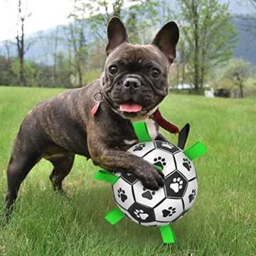 Avolander Dog Toys Soccer Ball Large, Interactive Dog Toys for Tug of War, Puppy Birthday Gifts, Dog Tug Toy, Dog Water Toy, Durable Dog Balls for Dog