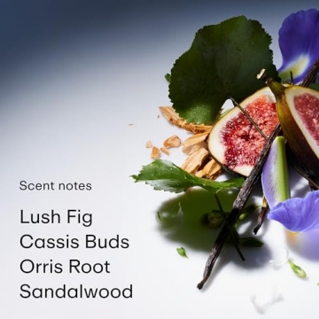 PHLUR Father Figure Perfume - Unisex Travel Size Fragrance