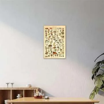 Vintage Mushroom Educational Poster Print for Wall Art