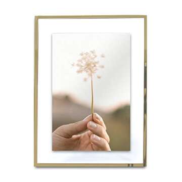 MIMOSA MOMENTS Brass Metal Floating 4x6 Picture Frame
