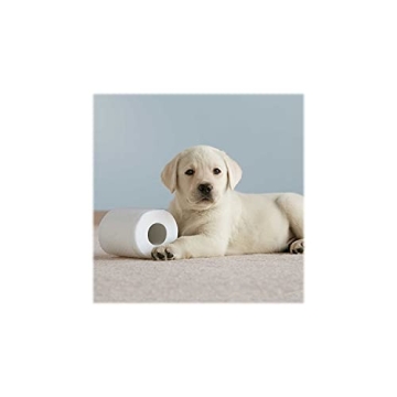 Cottonelle Ultra Soft Bath Tissue 12-Pack for Quality Comfort