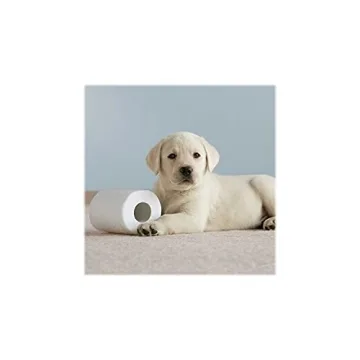 Cottonelle Ultra Soft Bath Tissue 12-Pack for Quality Comfort