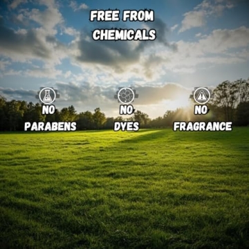 Beef Tallow Lip Balm 100% Organic & Nourishing - 4 Pack