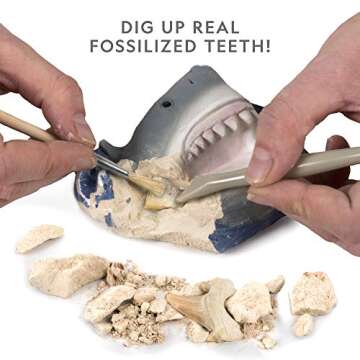 NATIONAL GEOGRAPHIC Shark Tooth Dig Kit, Excavate 3 Real Shark Fossils Including Sand Tiger, Otodus and Crow Shark - Great Science Gift for Marine Biology Enthusiasts of Any Age