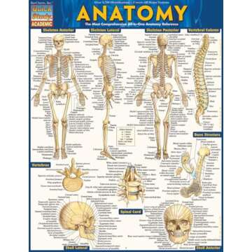 Anatomy QuickStudy Laminated Reference Guide for Students