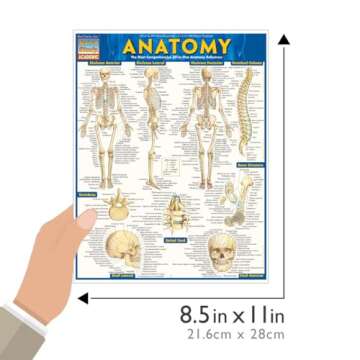Anatomy QuickStudy Laminated Reference Guide for Students