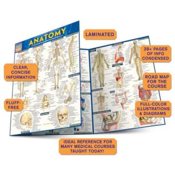 Anatomy QuickStudy Laminated Reference Guide for Students