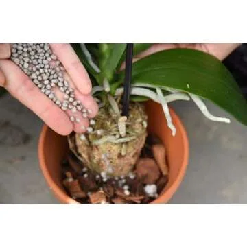 Perfect Plants Orchid Food - Bloom Booster for Orchids