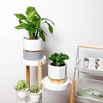 POTEY 052301 Ceramic Planter Flowerpots - 6.1 inch + 5 inch White Grey Golden Decorative Detailing Plant Pot Containers for Aloe Plants Flower Modern Indoor Home Decor (Plants NOT Included)