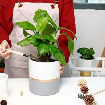 POTEY 052301 Ceramic Planter Flowerpots - 6.1 inch + 5 inch White Grey Golden Decorative Detailing Plant Pot Containers for Aloe Plants Flower Modern Indoor Home Decor (Plants NOT Included)